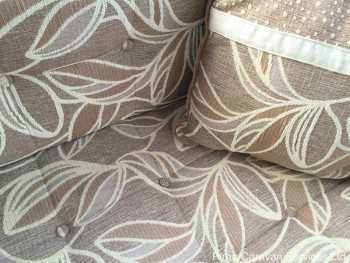 swift-charisma-535003